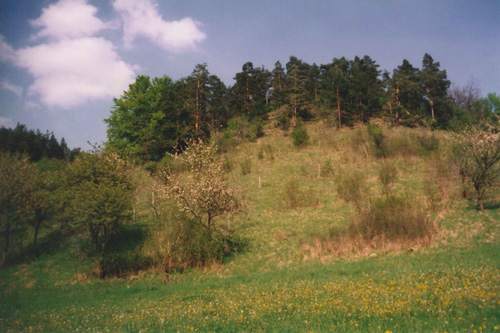 Landscape Plan Kranichfeld / Tannroda, Landkreis Weimarer Land